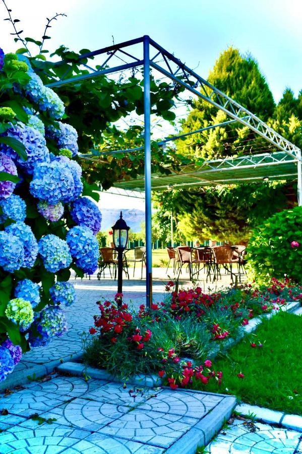 Casa Nita Appartement Ulcinj Buitenkant foto