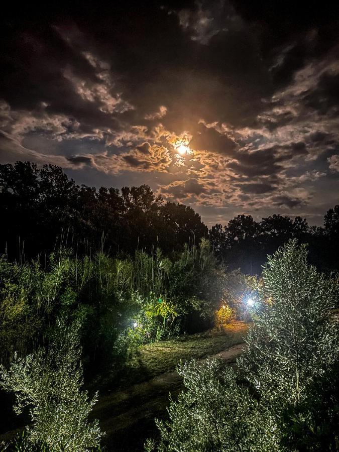 Casa Nita Appartement Ulcinj Buitenkant foto
